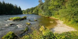 What Is a Riverbank? Definition and Types