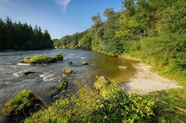 What Is a Riverbank? Definition and Types