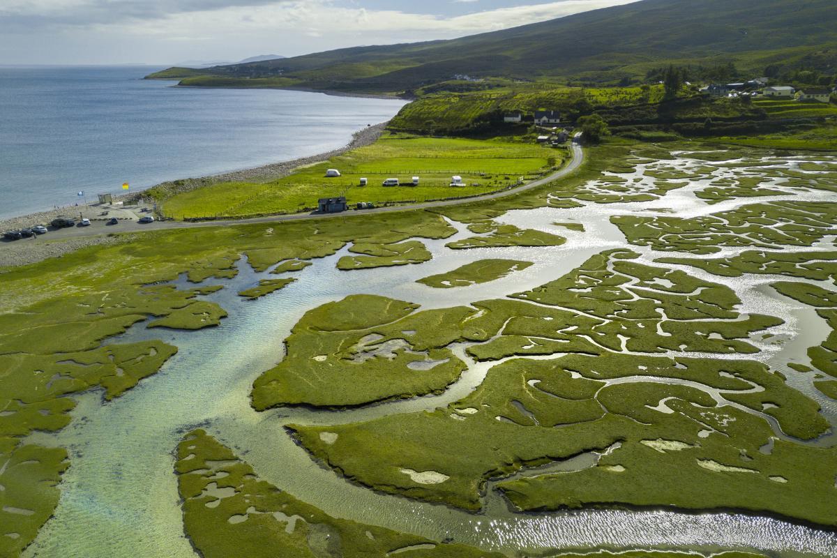 What Is a River Delta and How Is It Formed?