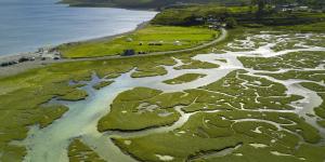 What Is a River Delta and How Is It Formed?