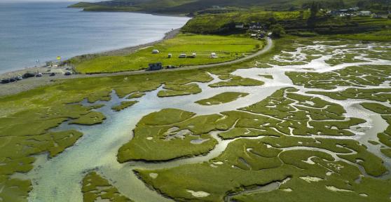 What Is a River Delta and How Is It Formed?