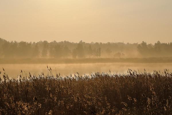 What Is Haze Weather Meaning And Effects Of Hazy Weather