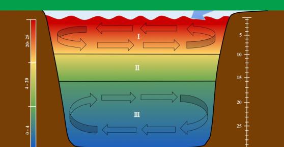 What Is a Thermocline and How Is It Formed?