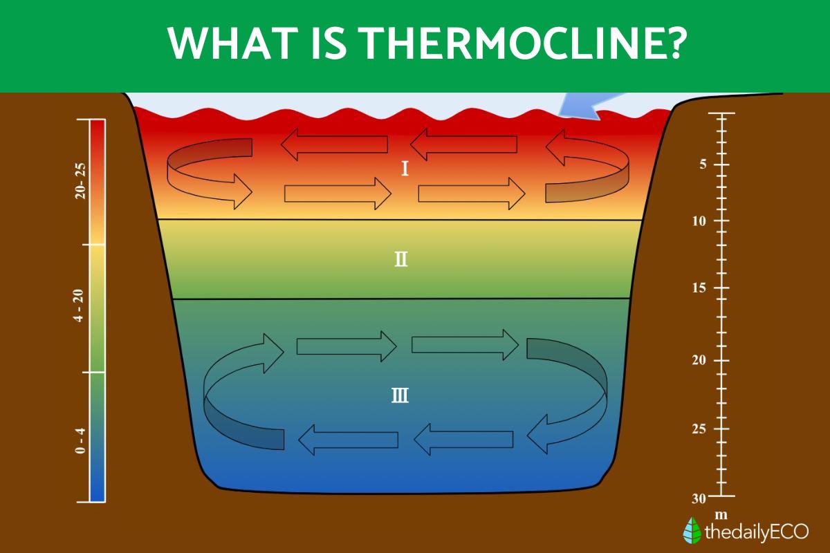 Thermocline Hvac At Alan Padilla Blog Thermocline Hvac At Alan Padilla Blog