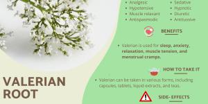 How to Take Valerian Root for Sleep and Anxiety