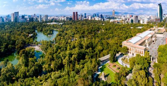 Benefits of Urban Forestry - Environmental, Social, and Economic