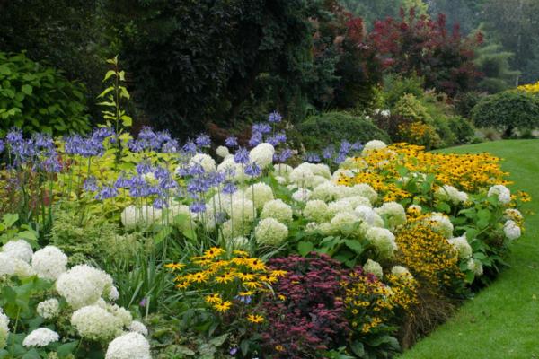 Ornamental Plants - What They Are and Their Importance - What are ornamental plants?