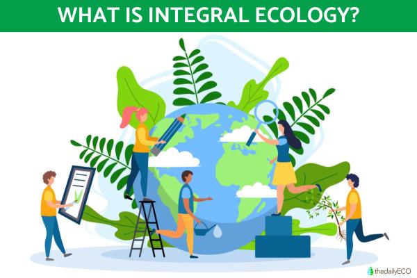 What Is Integral Ecology?