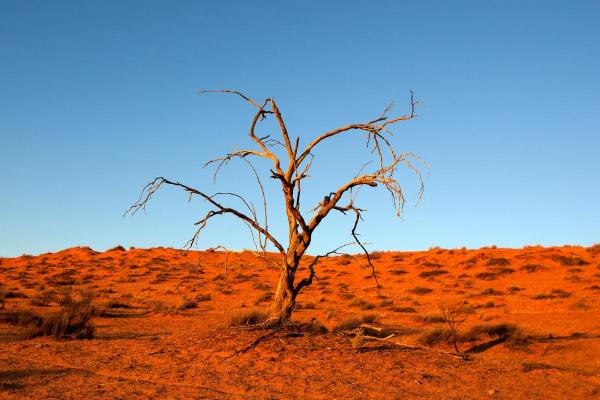 Different Types of Deserts - Arid deserts