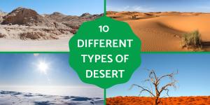 Different Types of Deserts