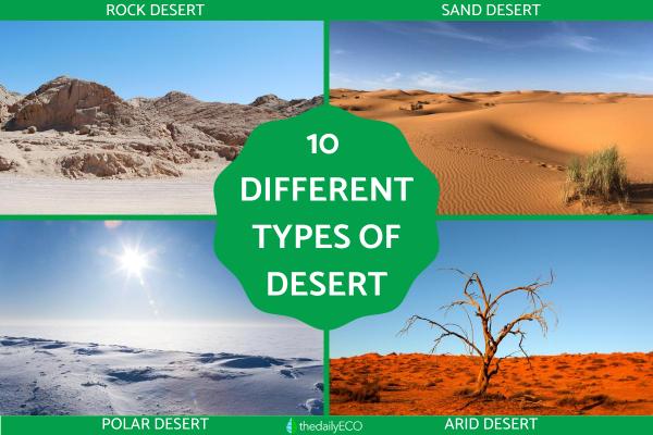 10 Different Types of Deserts - With Photos