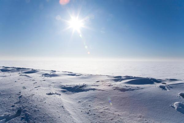 Different Types of Deserts - Polar deserts