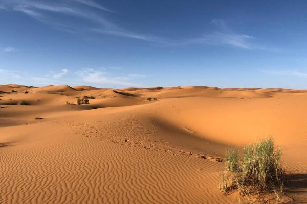 Different Types of Deserts - Sand deserts