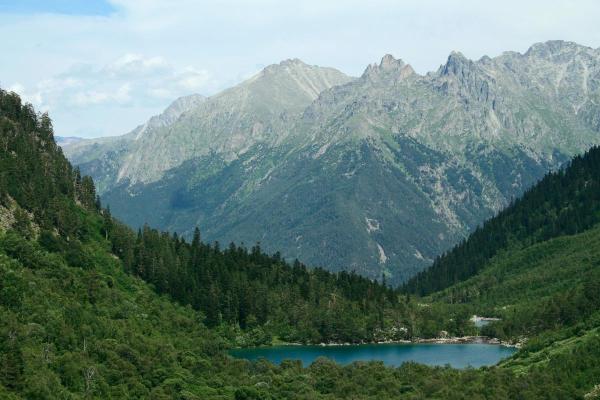 What Is a Microclimate in Geography? - How a microclimate is formed