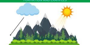 What Is a Microclimate in Geography?