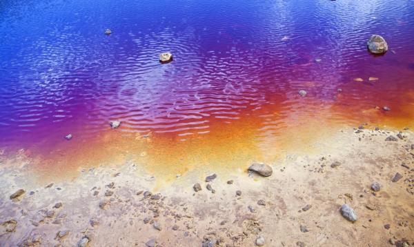 What Is Red Tide and What Causes It? - How long does a red tide last?