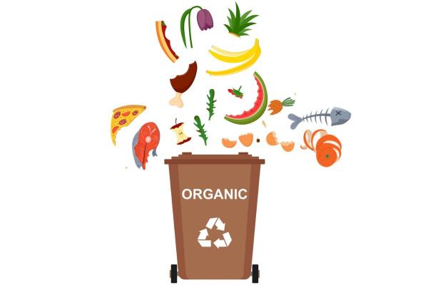 What Is Organic Waste? - Types of organic waste