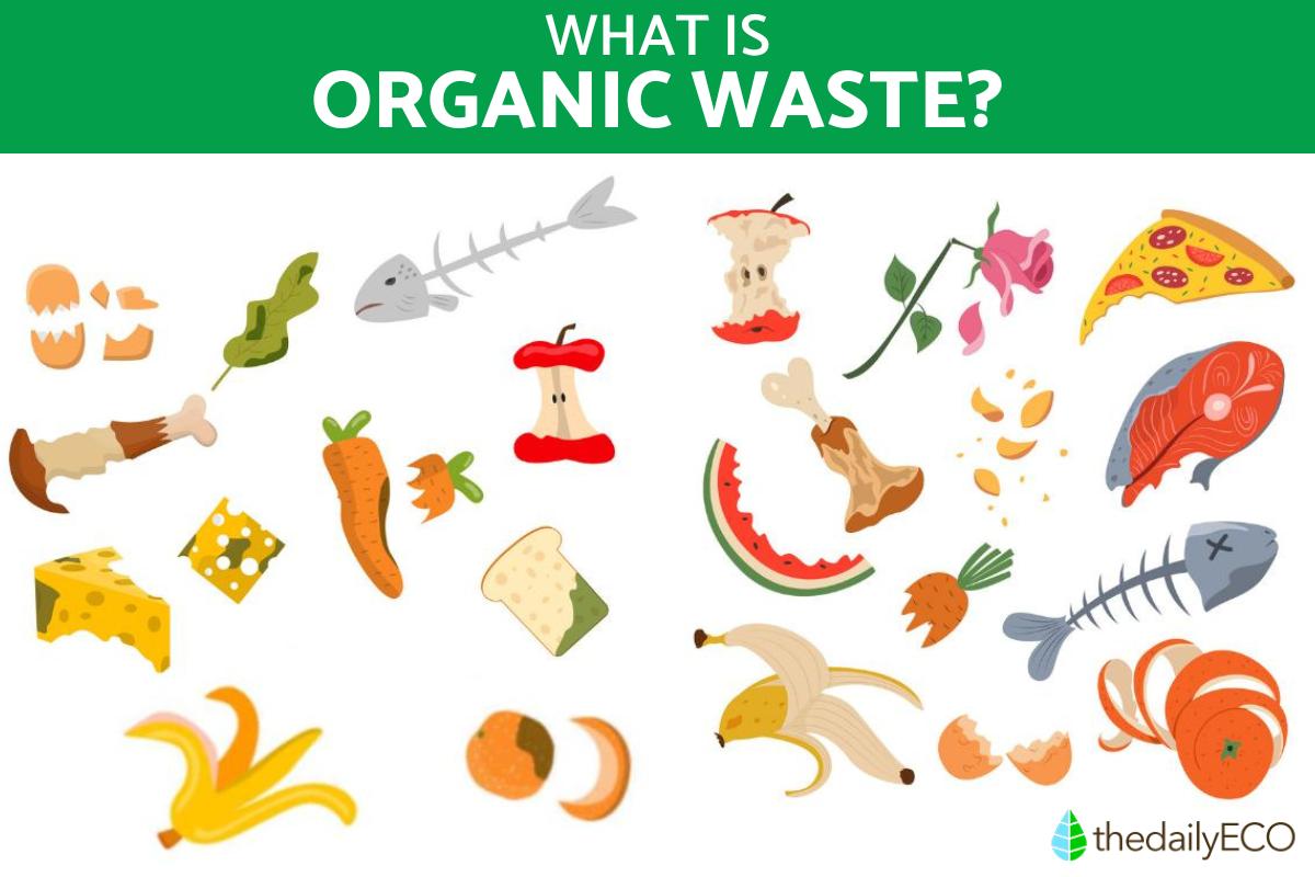 What Is Organic Waste?