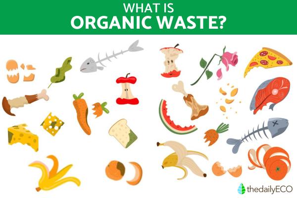 What Is Organic Waste?