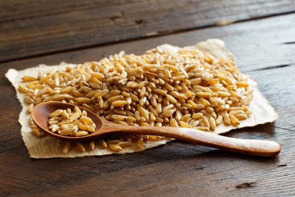 What Is Kamut? - Khorasan Wheat Properties - Benefits of Kamut