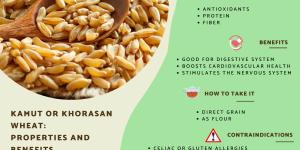 What Is Kamut? - Khorasan Wheat Properties