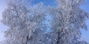 What Is Rime Ice and How Is It Formed?