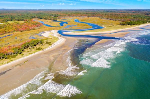 What Is an Estuary? - Definition of Estuaries