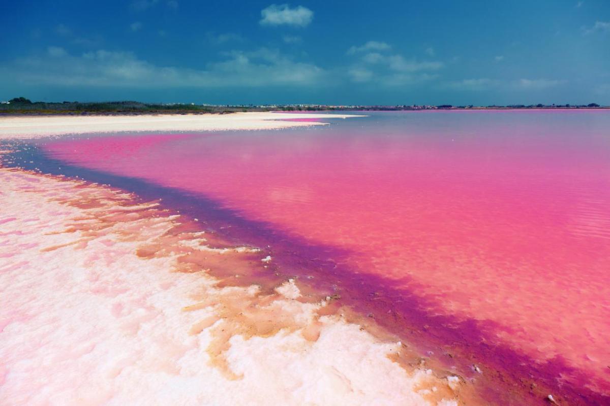 What Are Pink Lakes? - Definition, Location and Ecological Importance