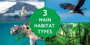 What Are the 3 Types of Habitats?