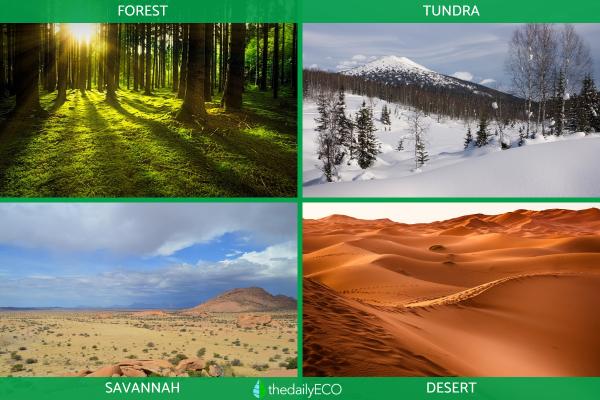 Natural Regions - Definition and Examples - Examples of natural regions