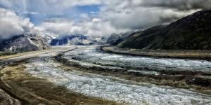 What Is a Tundra Ecosystem?