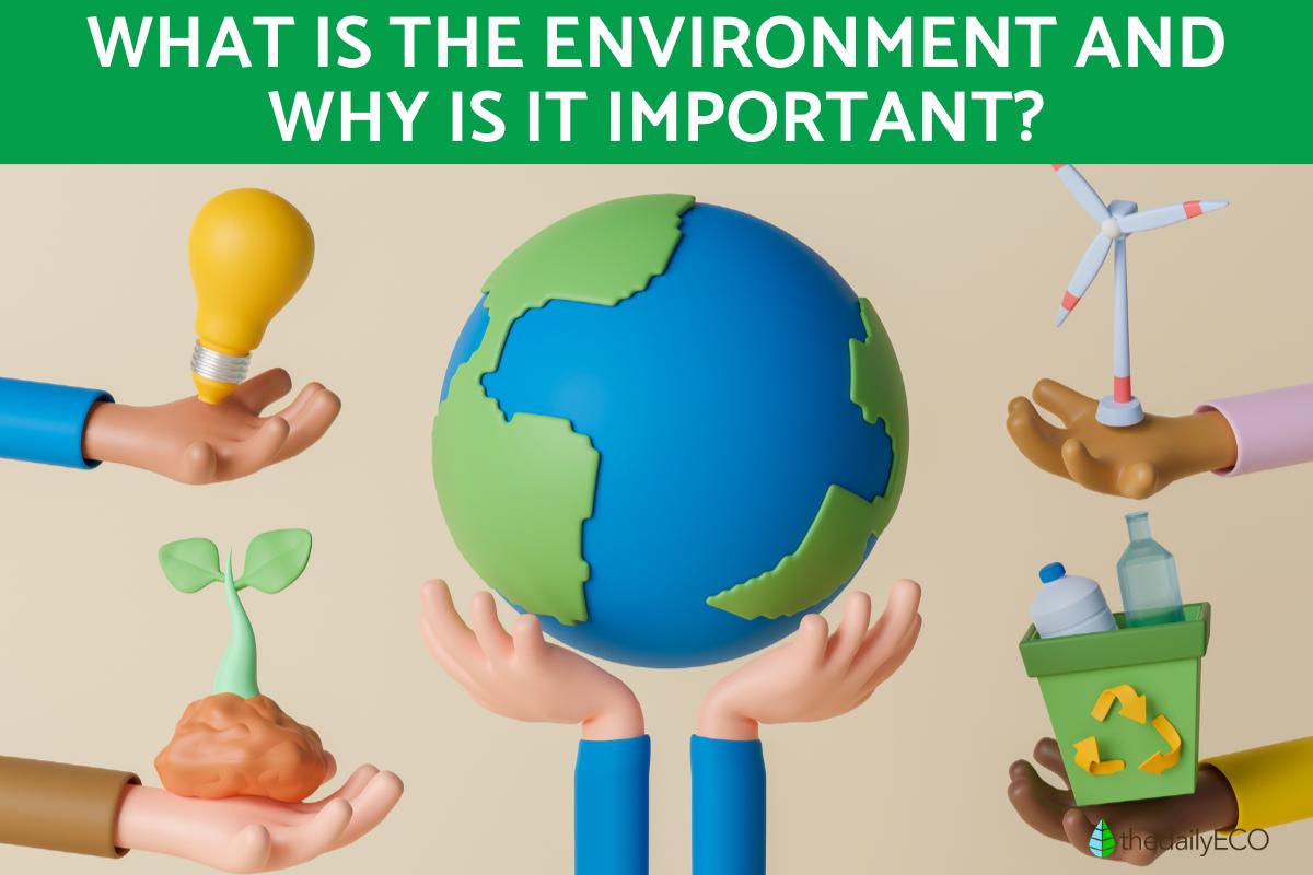 What Is the Environment and Why Is It Important?