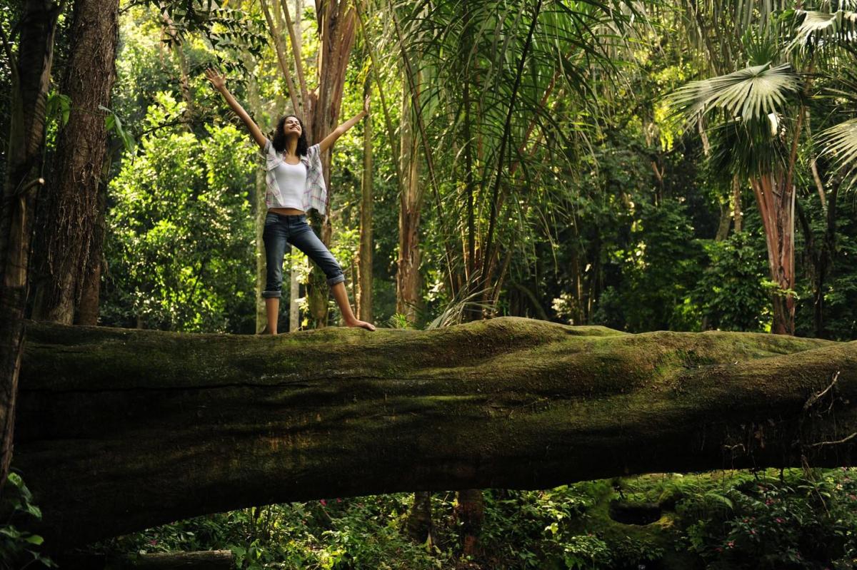 Forest Bathing - Discover the Power of Shinrin-yoku