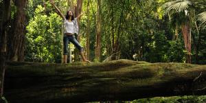 Forest Bathing - Discover the Power of Shinrin-yoku