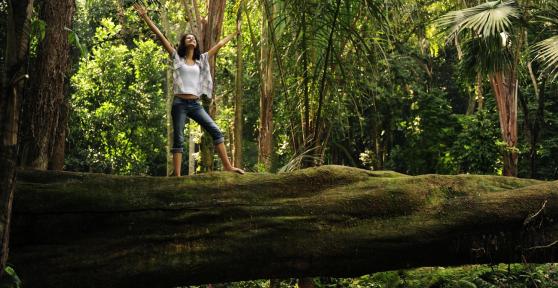 Forest Bathing - Discover the Power of Shinrin-yoku