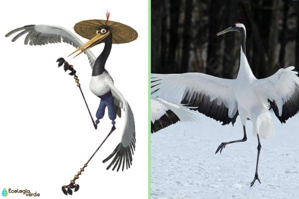 Exploring the Animals of Kung Fu Panda - Crane (Red-crowned Crane)