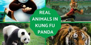 Exploring the Animals of Kung Fu Panda