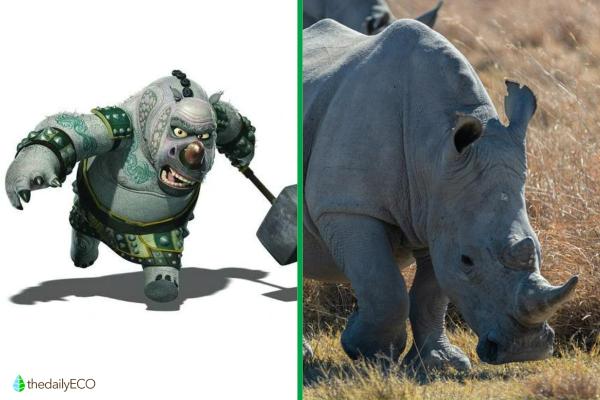 Exploring the Animals of Kung Fu Panda - Master Thundering Rhino (Rhinoceros) 