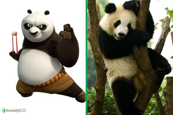 Exploring the Animals of Kung Fu Panda - Po (Giant Panda)