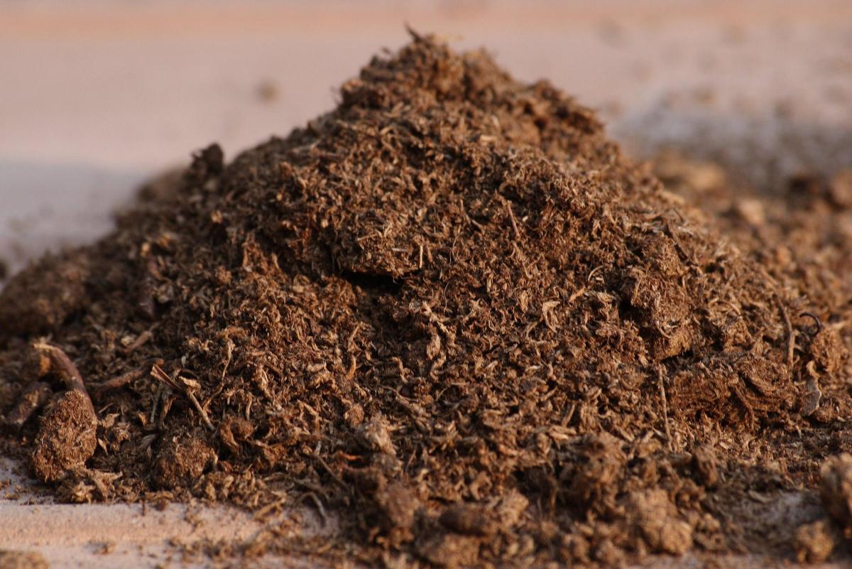 What Is the Purpose of Peat Moss?