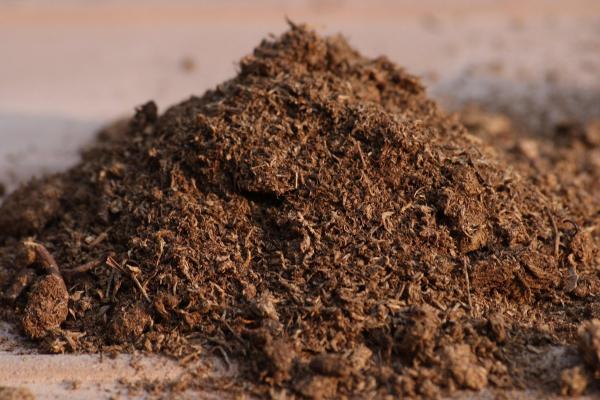 What Is the Purpose of Peat Moss?