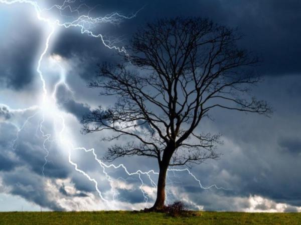 Do Trees Attract Lightning?