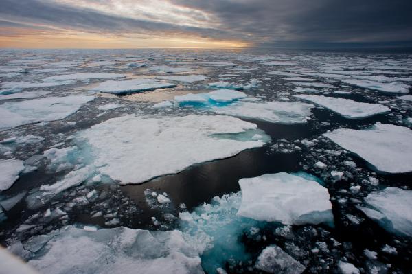 Sea Ice Definition, Formation and Examples - How a sea ice forms