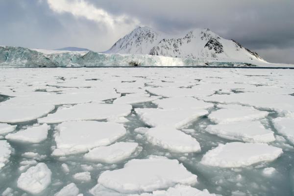 Sea Ice Definition, Formation and Examples - What is sea ice?