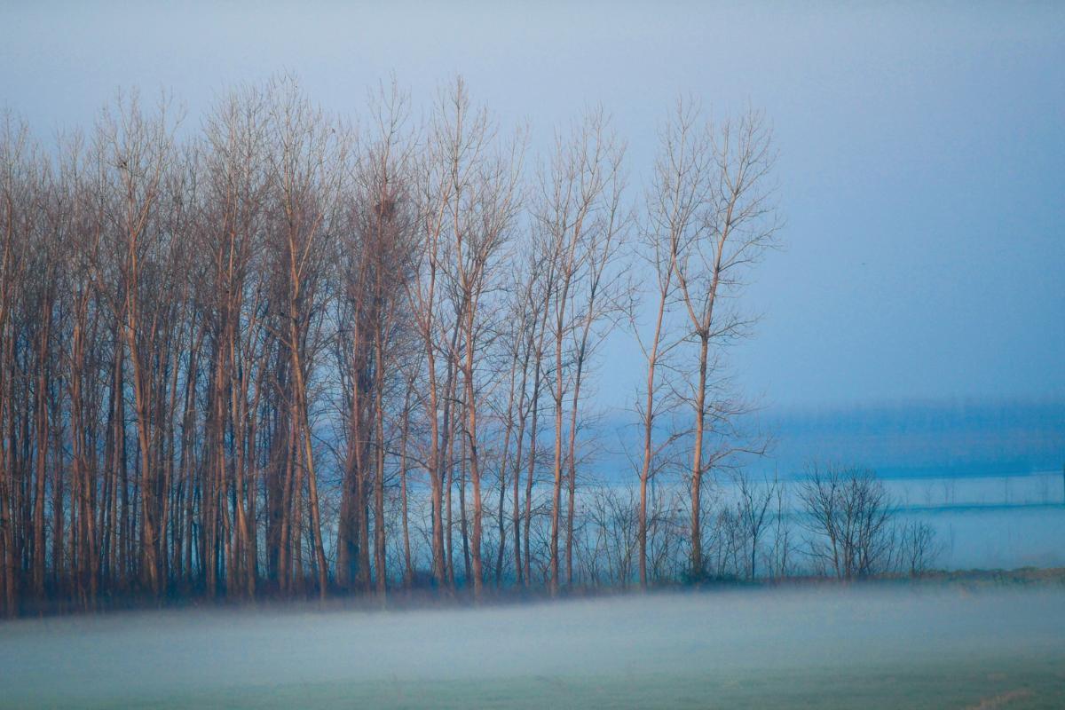 What Is Advection Fog and How Does It Form?