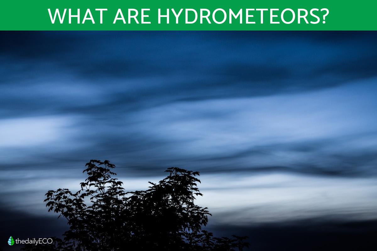 What Are Hydrometeors? - Definition and Types