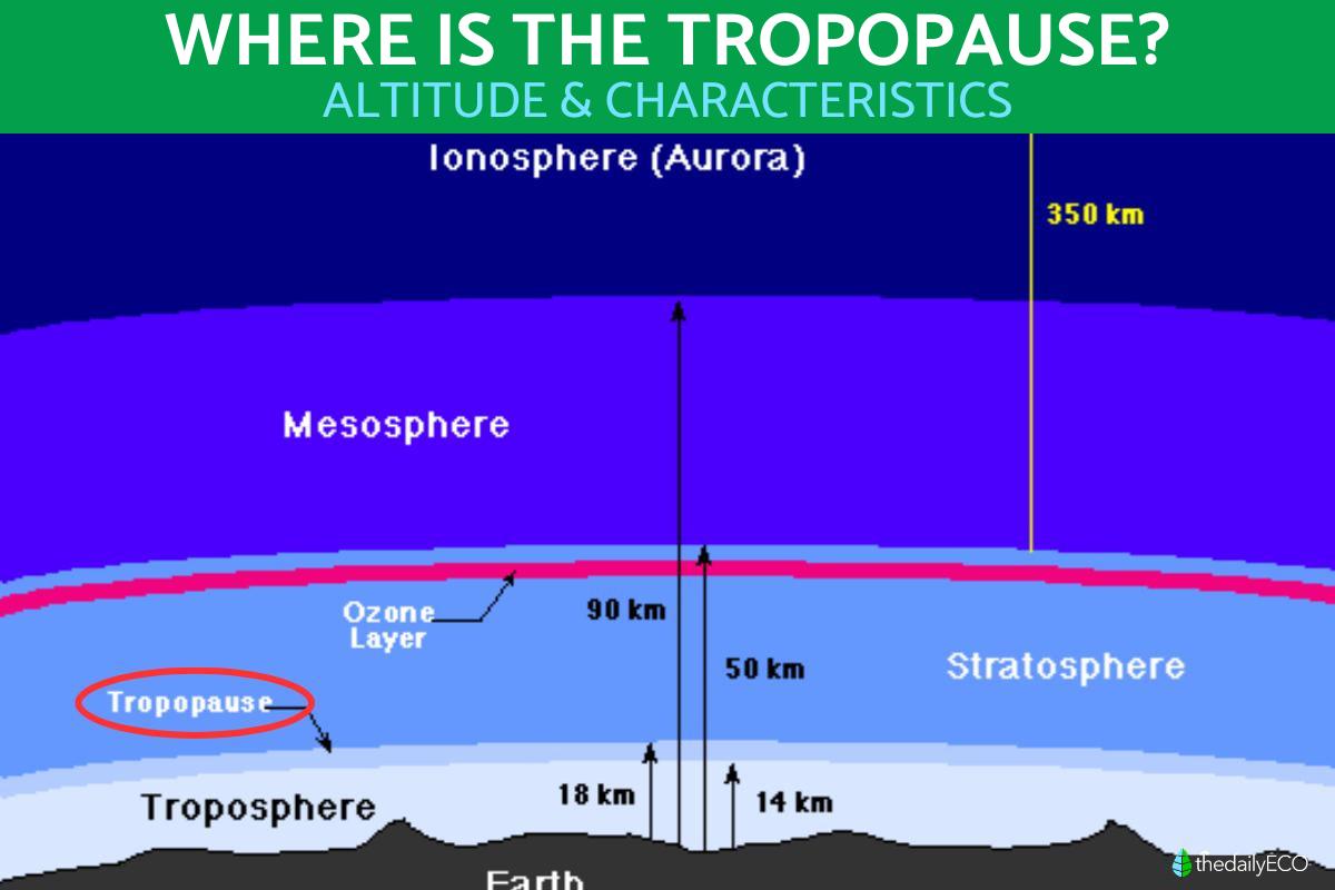 Where Is the Tropopause?