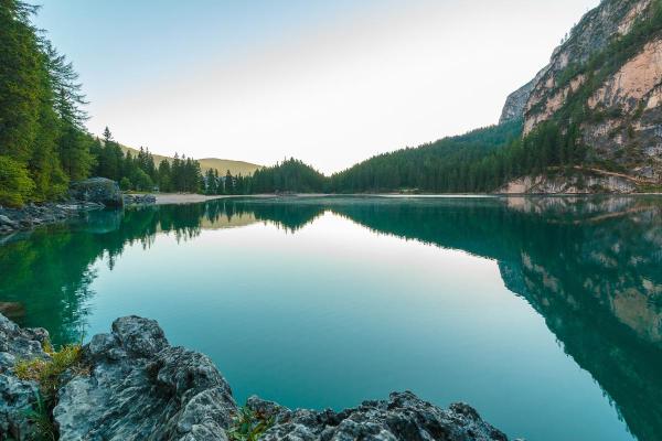 Differences Between Lakes and Swamps - What is a lake?