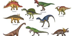 How Many Kinds of Dinosaurs Were There?