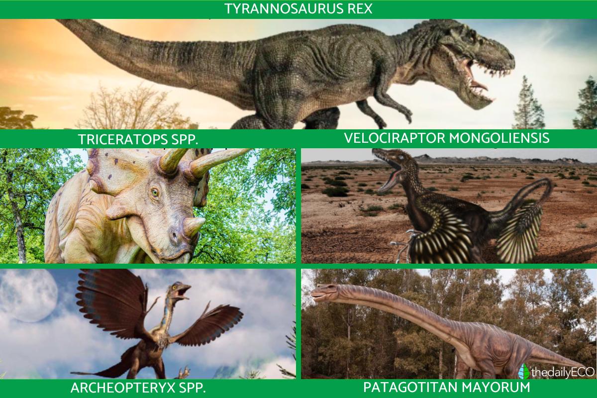 How Many Kinds of Dinosaurs Were There? Known Dinosaur Species With